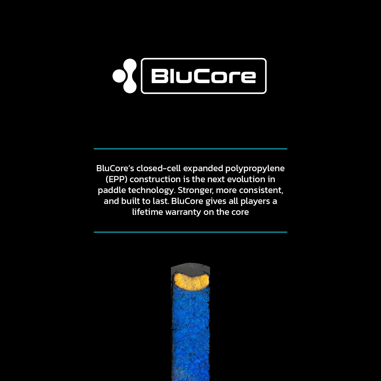 Diadem Warrior BluCore pickleballrack